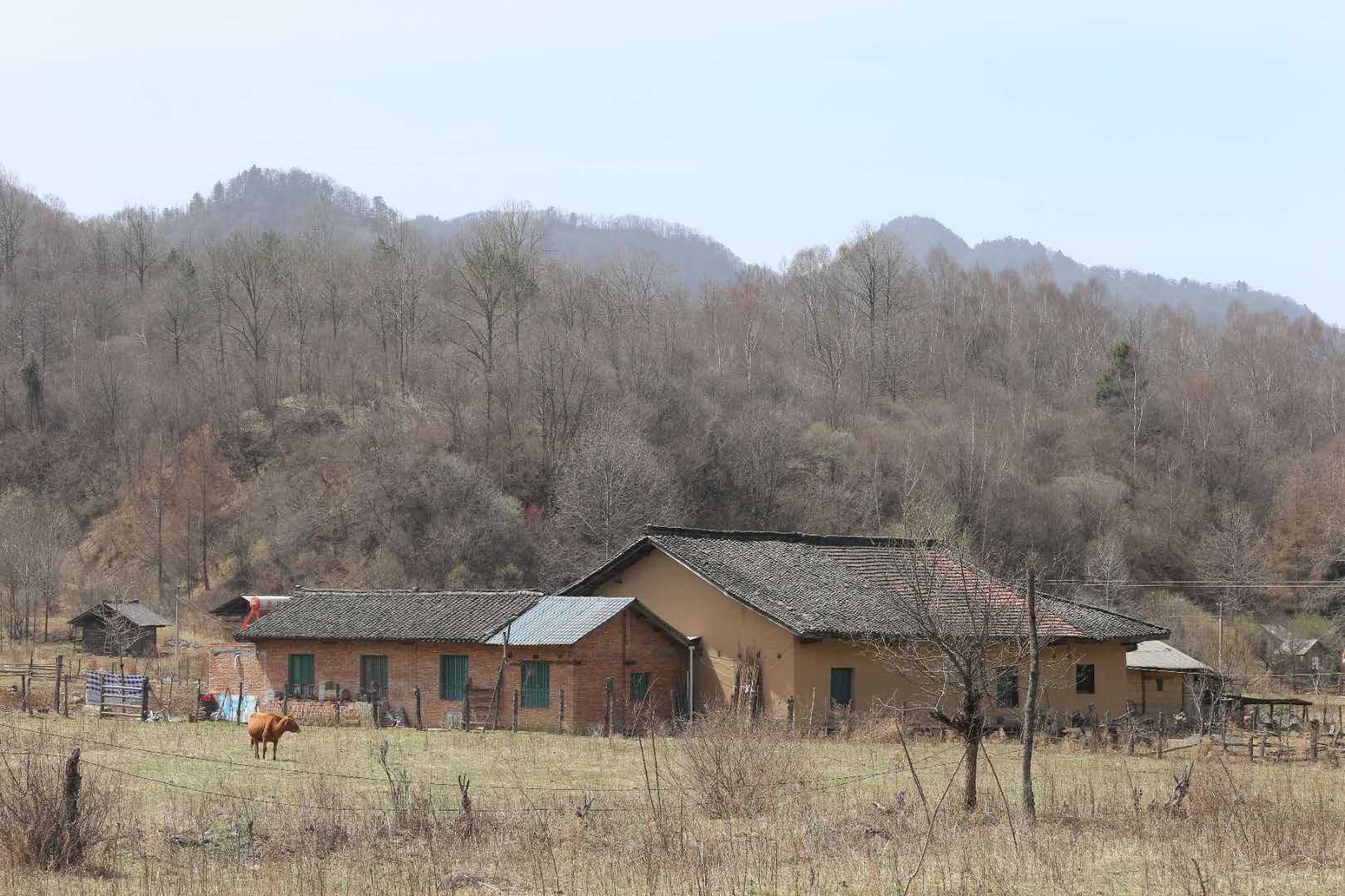 团建，春到老县城。(图12)